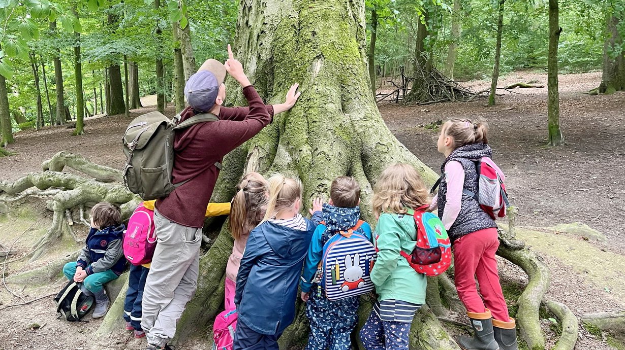 Kinder berühren großen Baum im Wald.